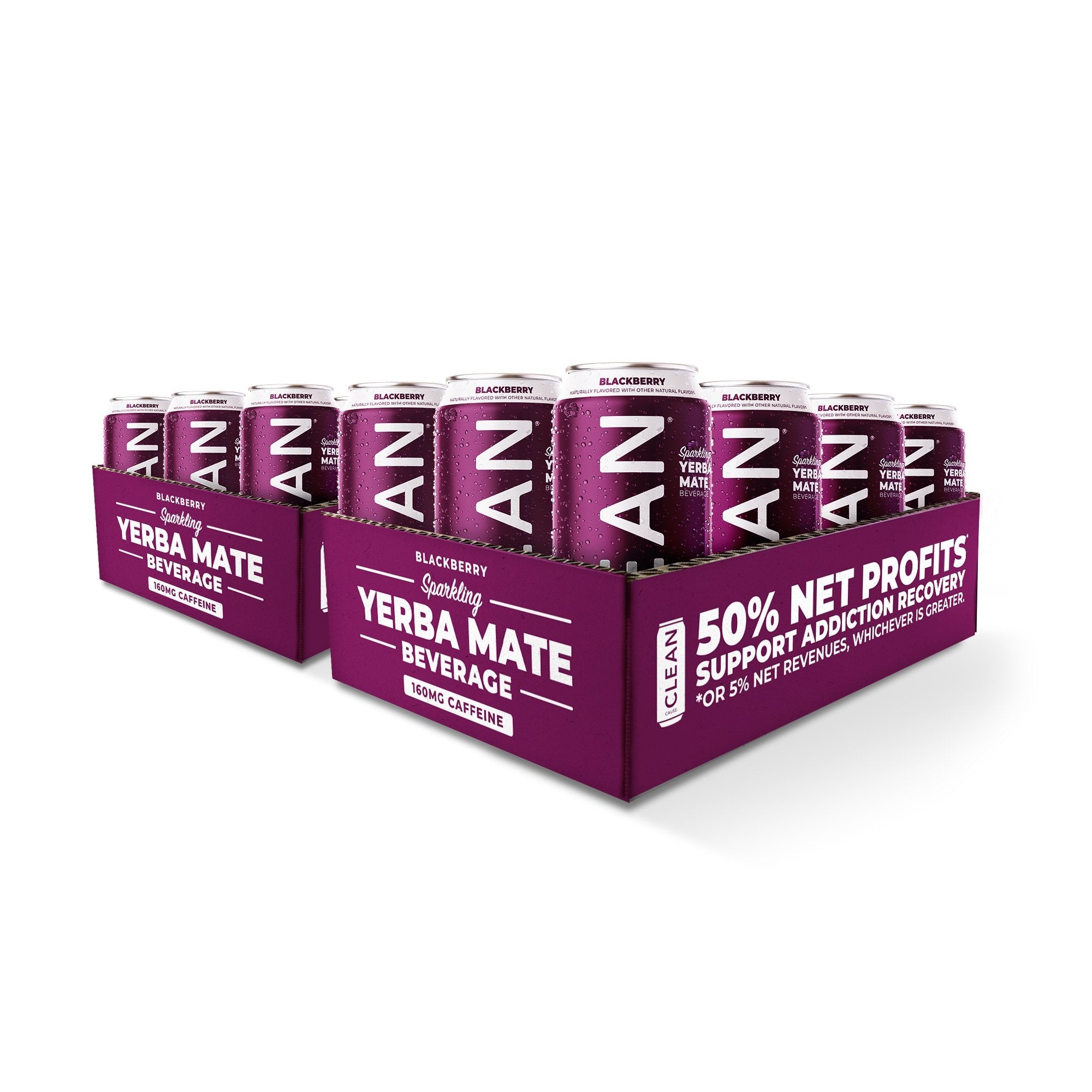 Blackberry Organic Sparkling Yerba Mate