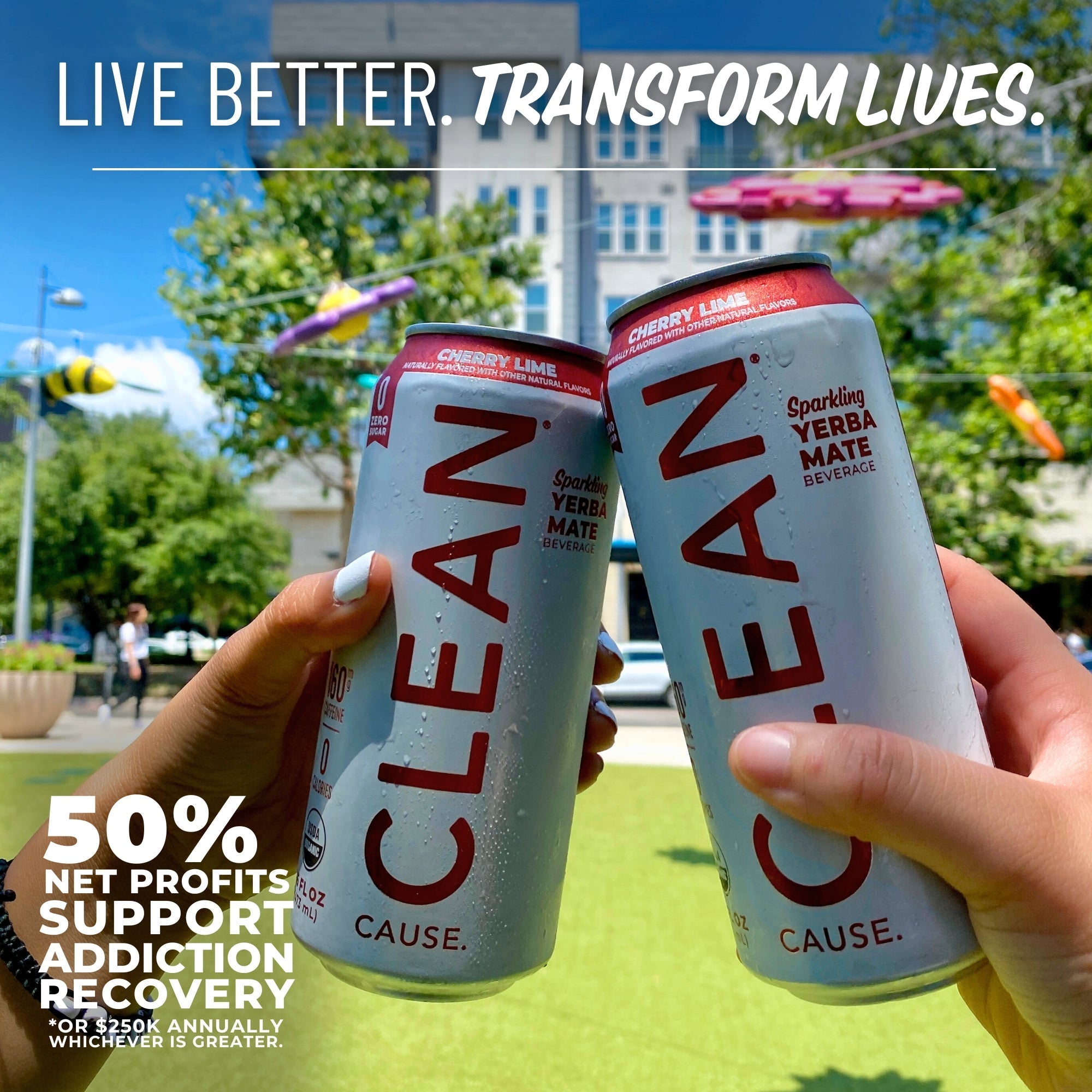 Cherry Lime Zero Calorie Sparkling Organic Yerba Mate