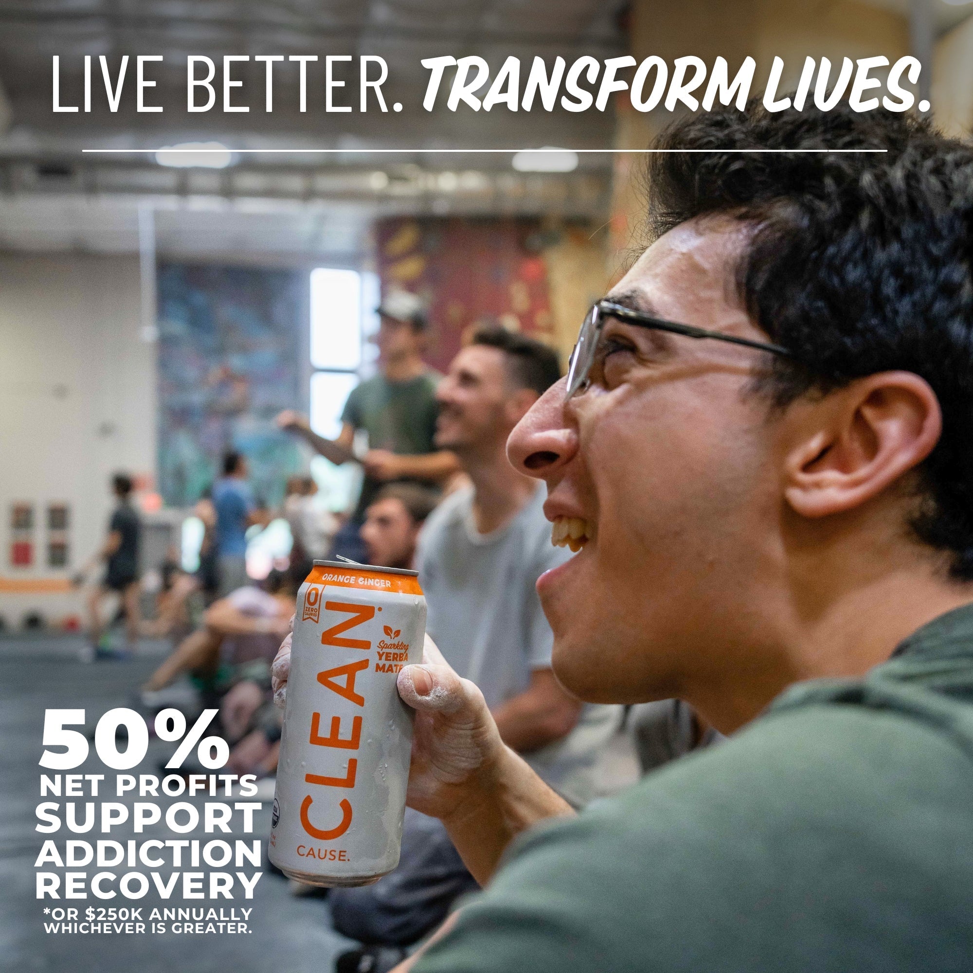 Orange Ginger Zero Calorie Organic Sparkling Yerba Mate