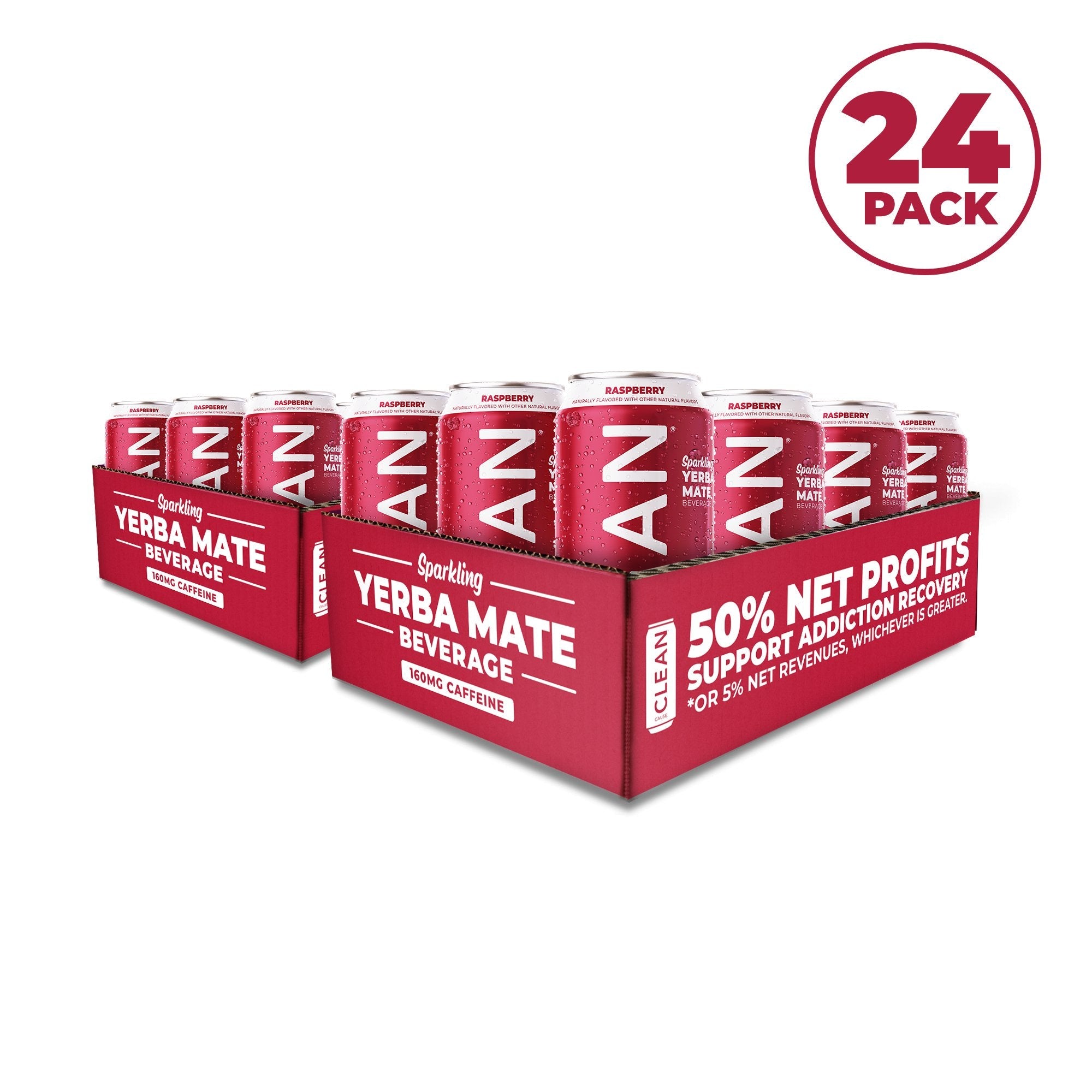 Raspberry Organic Sparkling Yerba Mate